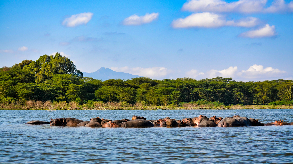 Lake Naivasha in Kenya's Great Rift Valley